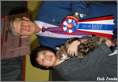 Boss - 8th Best HHPet